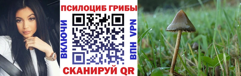 Псилоцибиновые грибы ЛСД  Мценск 
