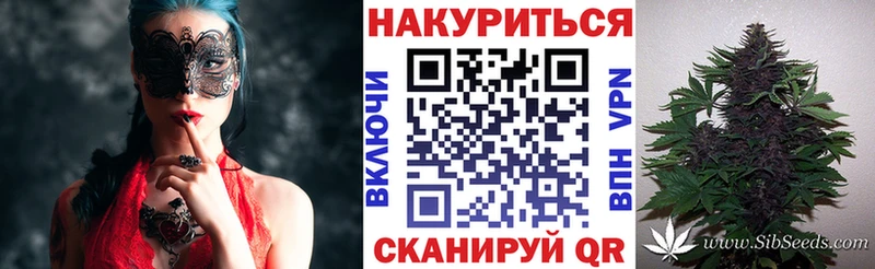 Марихуана сатива Мценск